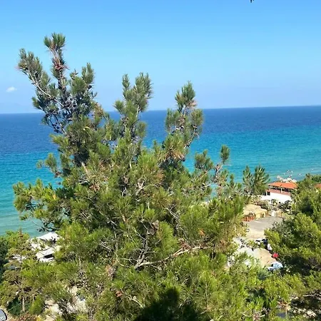 Elena Chalkidiki