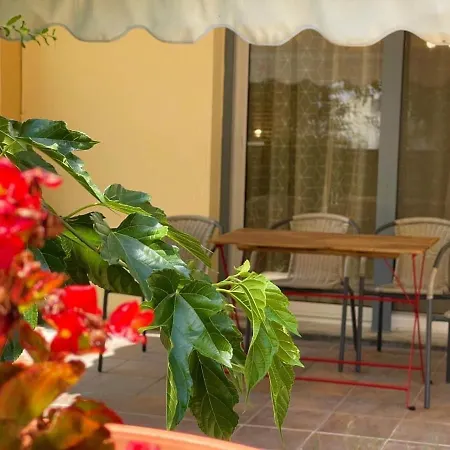 Elena Chalkidiki Daire Kallithea (Chalkidiki)